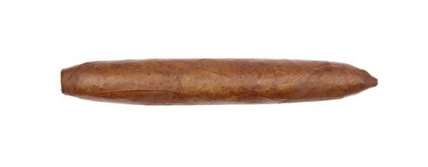 cigar on a white