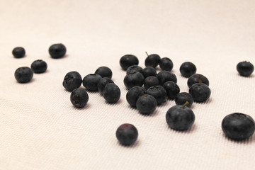 blueberries on a white background, Wallpaper