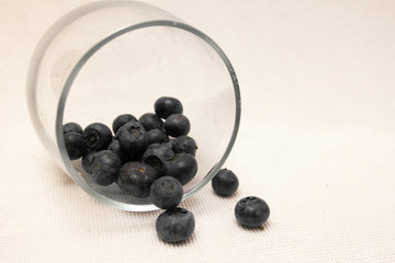 blueberries in a glass on a white background, light background