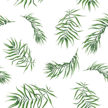 Seamless pattern with watercolor palm leaves on white background. Tropical watercolor endless pattern. Summer botanical background. Beach palm pattern. For fabrics, textile, design, invitation.