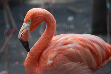A day at the zoo!