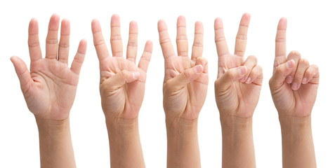 hands from one to five on a white background, set number 1 2 3 4 5 with hand