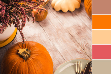 Autumn thanksgiving background with pumpkins, fall fruit and tableware for dinner. Color swatch