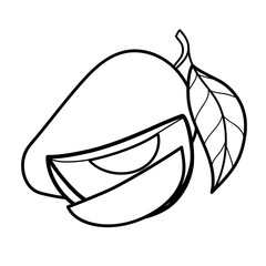Linear drawing mango isolated on white background. Sketch for coloring booking page. Vector illustration