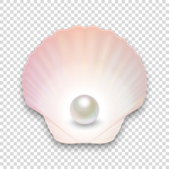 Fototapeta premium Vector 3d Realistic Natural Open Half Shell with Pearl Close up Isolated on Transparent Background. Top View