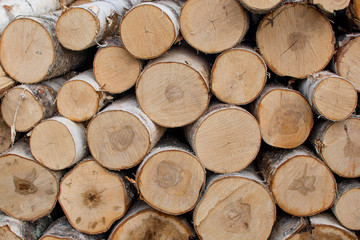 neatly folded round birch chooks. Birch logs lie in a log, even rows.
