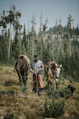 Wrangler