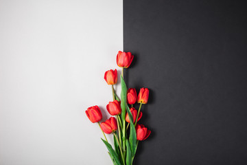 Red flowers tulips half black and white background.