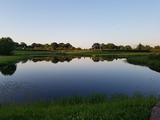 reflection of trees in the water