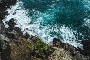 Waters