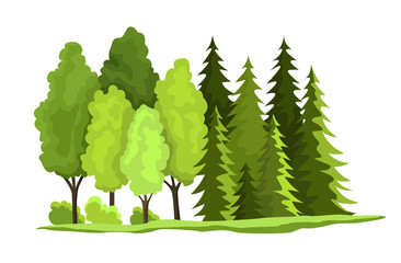 Natural resources design. Vector illustration of national treasure wooden. Illustration of renewable resource