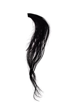 recommend clip art: Black horsehair, ponytail or mane, lock of hair on a white background