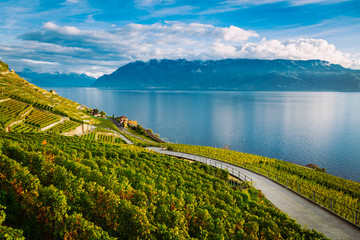 Lavaux, Switzerland: Lake Geneva and the Swiss Alps landscape seen from hiking trail among Lavaux...