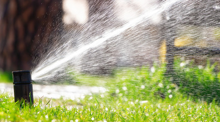 Sprinkler of automatic watering. Watering the lawn with an automatic irrigation system. Gardening.