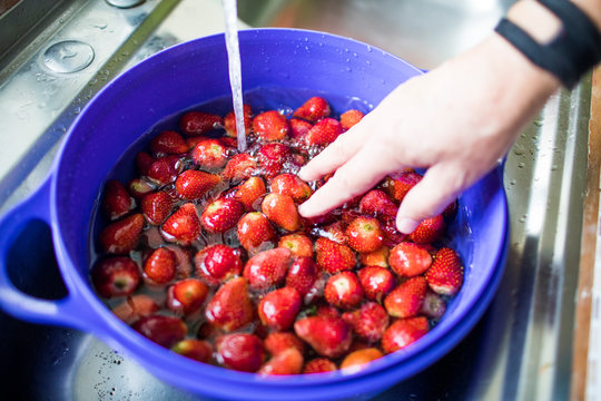 washing fresh strawberries with water in the sink.