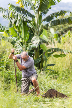 Elderly Man Digging Deep Hole With Shovel Outdoors.