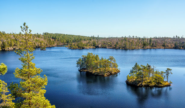 A beautiful  forest lake called the Stone Lake in Tyresta National Park, Sweden. 