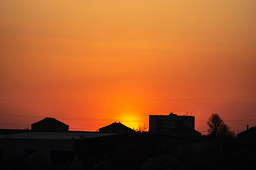 Silhouettes of tree branches on a sunset background