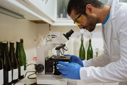 Winemaker analyzing a sample under a microscope in a winery lab. - Powered by Adobe
