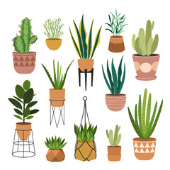 Indoor plants flat color illustrations set. Realistic houseplants in beige pot on metal stands. Exotic flowers with stems and leaves. Ficus, snake plant, sansevieria isolated botanical design element