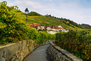 Fototapeta na wymiar Lavaux, Switzerland: Lake Geneva and traditional swiss hauses during sunset seen from Lavaux vineyard hiking trail in Canton Vaud