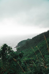 view from the top of a cliff