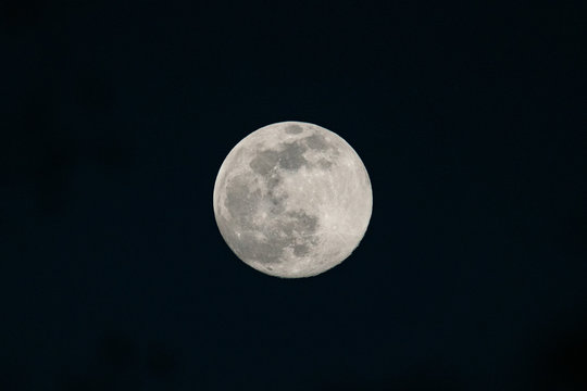 View of the full moon with visible craters on a dark night sky