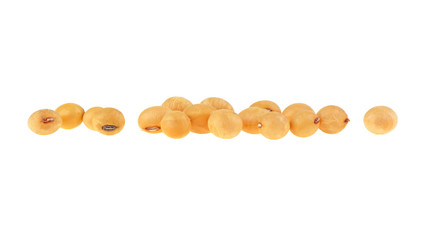 Organic soybeans isolated on a white background