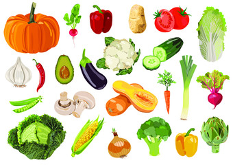Vector collection of  24 fresh vegetables. 