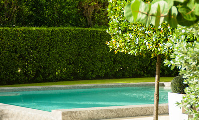 stylish Garden with swimming pool