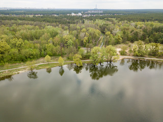 Shore of a forest lake on a spring day. Aerial drone view.