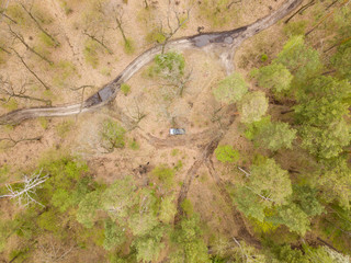 Obraz premium A car on a dirt road in the middle of a forest.