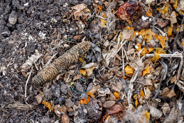 Fresh compost pile, with garden material. Recycled Food. Fertilizer.