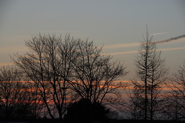 Obraz premium sunset and trees