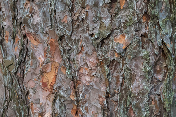 Abstract multicolored image, made with a brush and paints. You can use it as an interesting background or on your banner. Handmade dirty shabby smears of blue colour. Eps vector illustration.