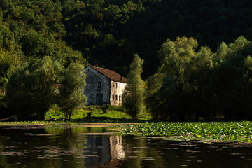Obraz premium national park Montenegro lake with green leaves and old house