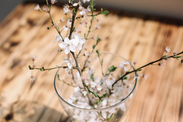 Cherry tree blossom branches with flowers in the vase on wooden table