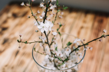 Cherry tree blossom branches with flowers in the vase on wooden table