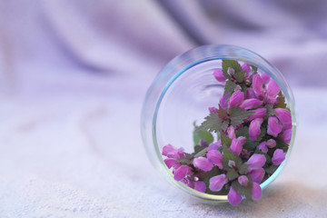Obraz na płótnie Canvas forest flowers in a glass on a purple background