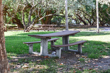 bench in the park