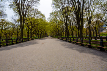 Central Park, Manhattan, New York City in spring