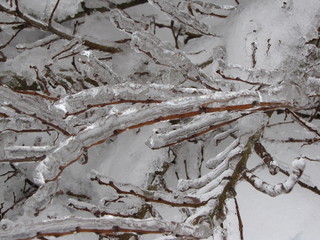 Iced Over