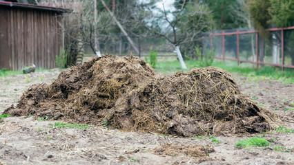 A pile of manure in the countryside, garden, vegetable garden in the background