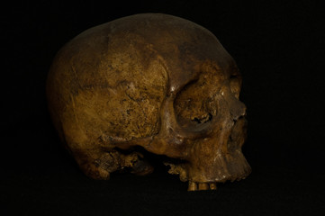 skull on black background