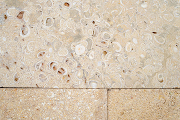 The decorated wall is made of carved pressed shell rock. Large inclusions of shells on a light yellow background for design on a building architectural theme.