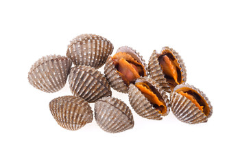 cockles seafood on white background