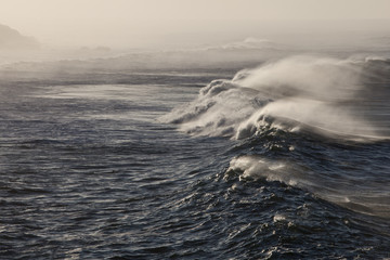 Powerful waves continuously crash on the rocky coastline of northern California. This beautiful region is known for its amazing scenery and is accessible via the Pacific Coast Highway.