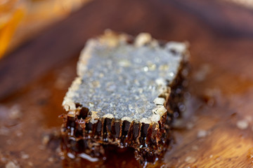 Closeup raw organic Honeycombs . Newly pulled honey bee honeycomb beeswax. Organic honeycomb...