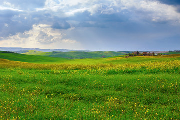 Tuscany green landscape