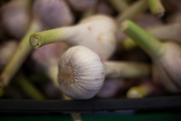 Garlic in the market
